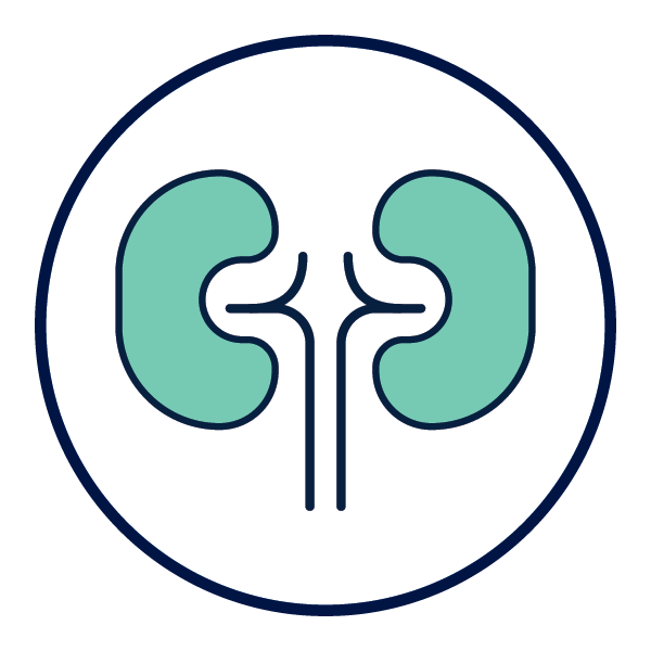 Enfermedad renal