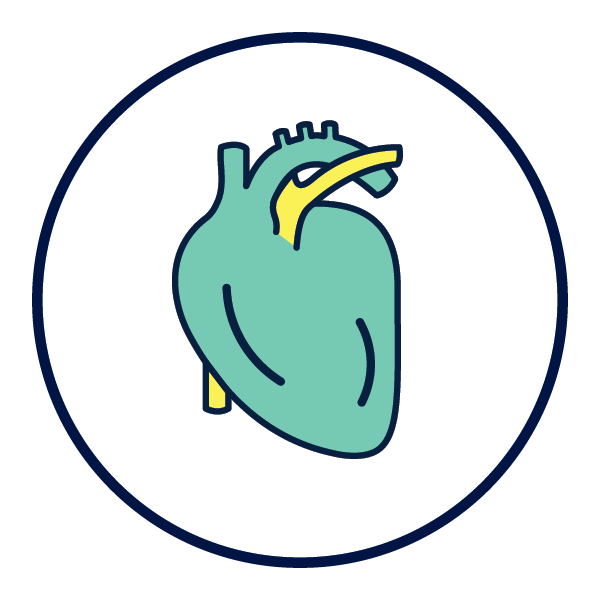 Enfermedad cardíaca icon